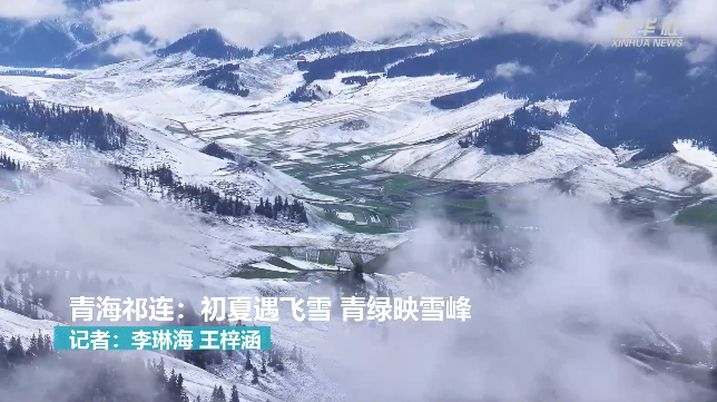 青海祁连：初夏遇飞雪 青绿映雪峰
