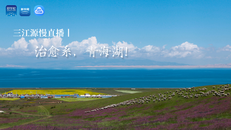 三江源慢直播丨治愈系，青海湖！
