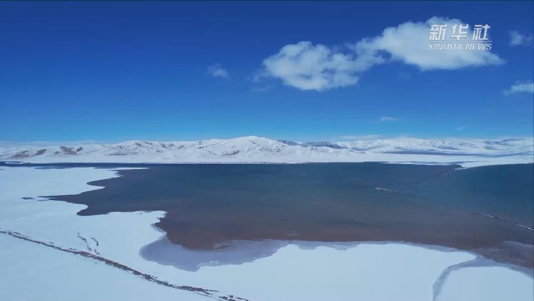 青?，敹啵憾喾N珍稀野生動(dòng)物亮相黃河源頭