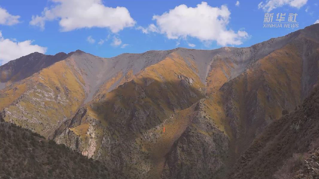 4362張照片！他們?cè)谶@里堅(jiān)持10年開(kāi)展雪豹種群動(dòng)態(tài)研究